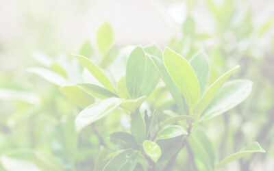 EQA, primera entidad acreditada en Validación DNSH en España