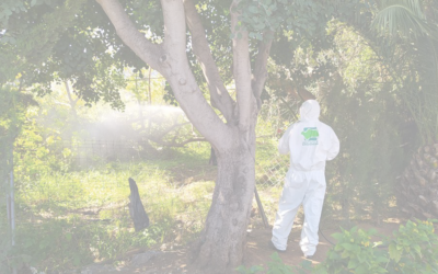 EQA certifica a ANDASUR control de plagas, S.L. en CEPA Certified®