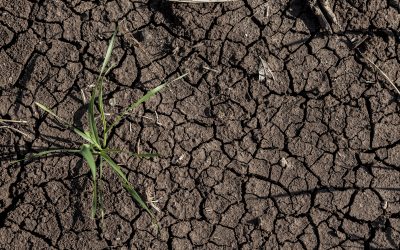 Article 35 de la Loi Climat et Résilience : la preuve devient un avantage concurrentiel